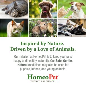 HomeoPet Storm Stress for Pets 20-80lbs, 450 drops