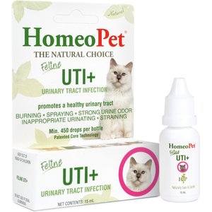 Home remedies for feline uti best sale