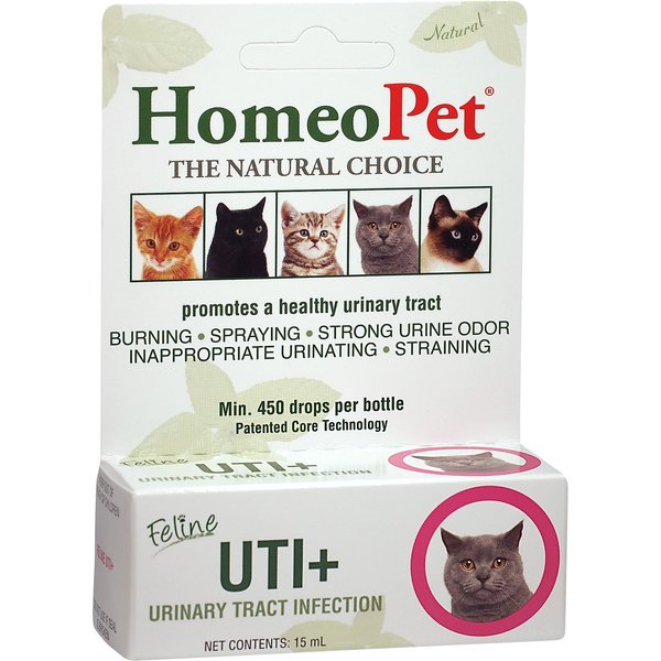 10 Best Homeopathic Remedies For Cats 2024 According To Reviews Chewy   110740 MAIN. AC SS600 V1611088692  