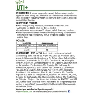 Homeopathic remedies outlet for cat uti