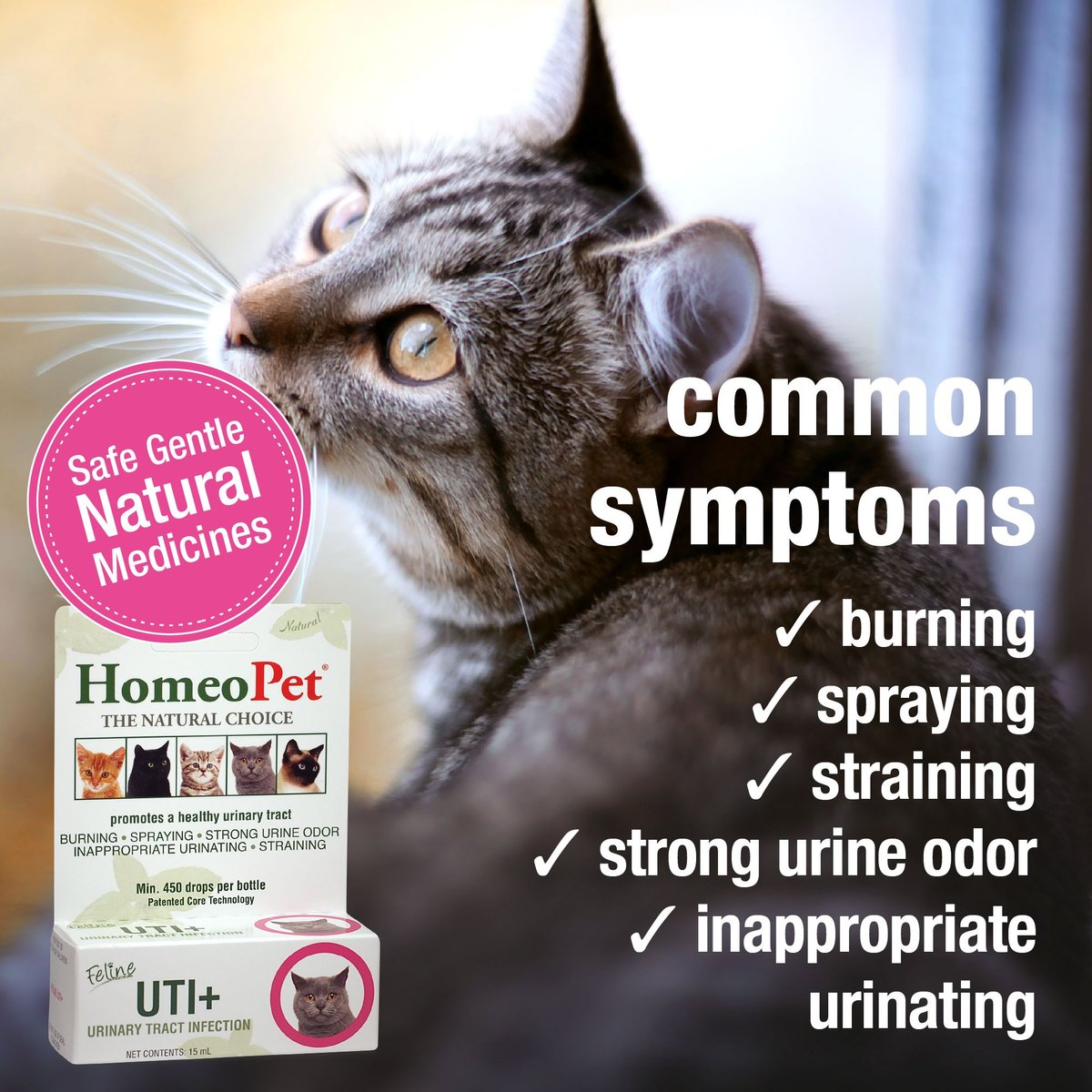 HOMEOPET UTI+ Homeopathic Medicine for Urinary Tract Infections UTI for