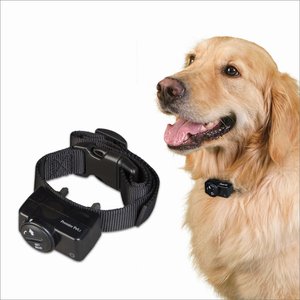 Premier Pet Wireless Fence Add-a-dog Dog Collar, Black - Chewy.com