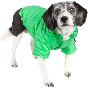 Pet Life Lightweight Sporty Avalanche Dog Coat, Green, Small