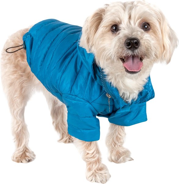 Pet Life Lightweight Sporty Avalanche Dog Coat, Blue, Medium - Chewy.com