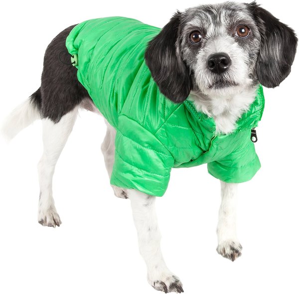 Pet Life Lightweight Sporty Avalanche Dog Coat, Green, Medium slide 1 of 10