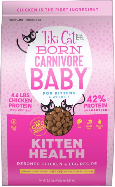 TIKI CAT Born Carnivore NON GMO Baby Chicken Egg Grain Free Dry Cat Food 5.6 lb bag Chewy