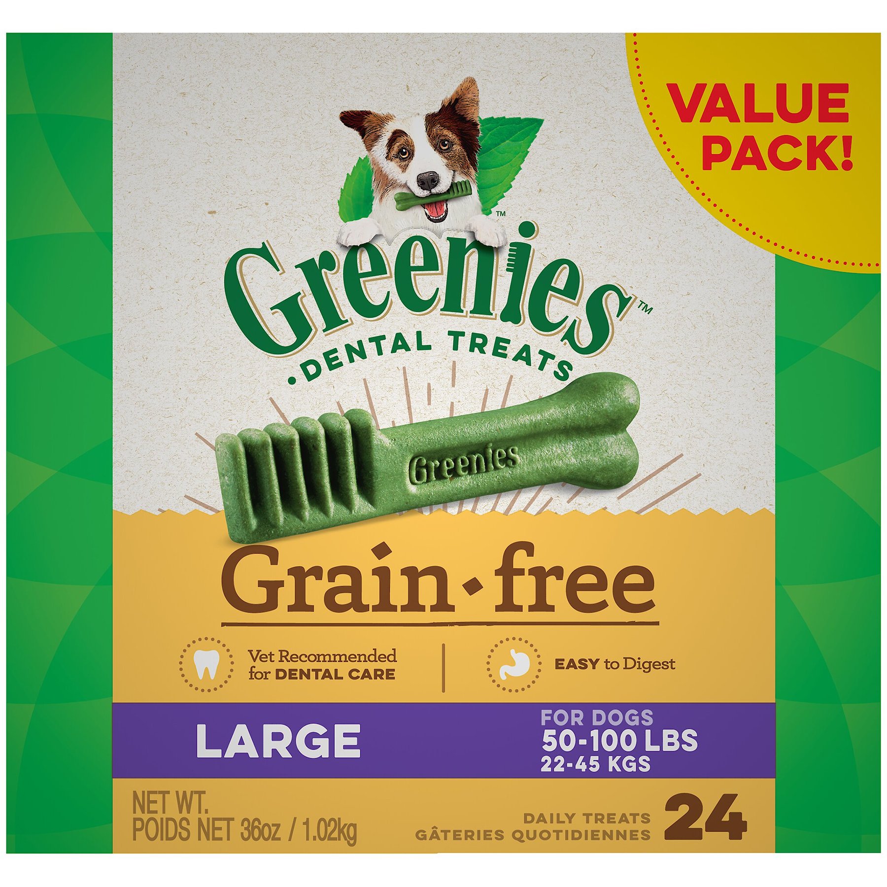 Chewy 2025 greenies large