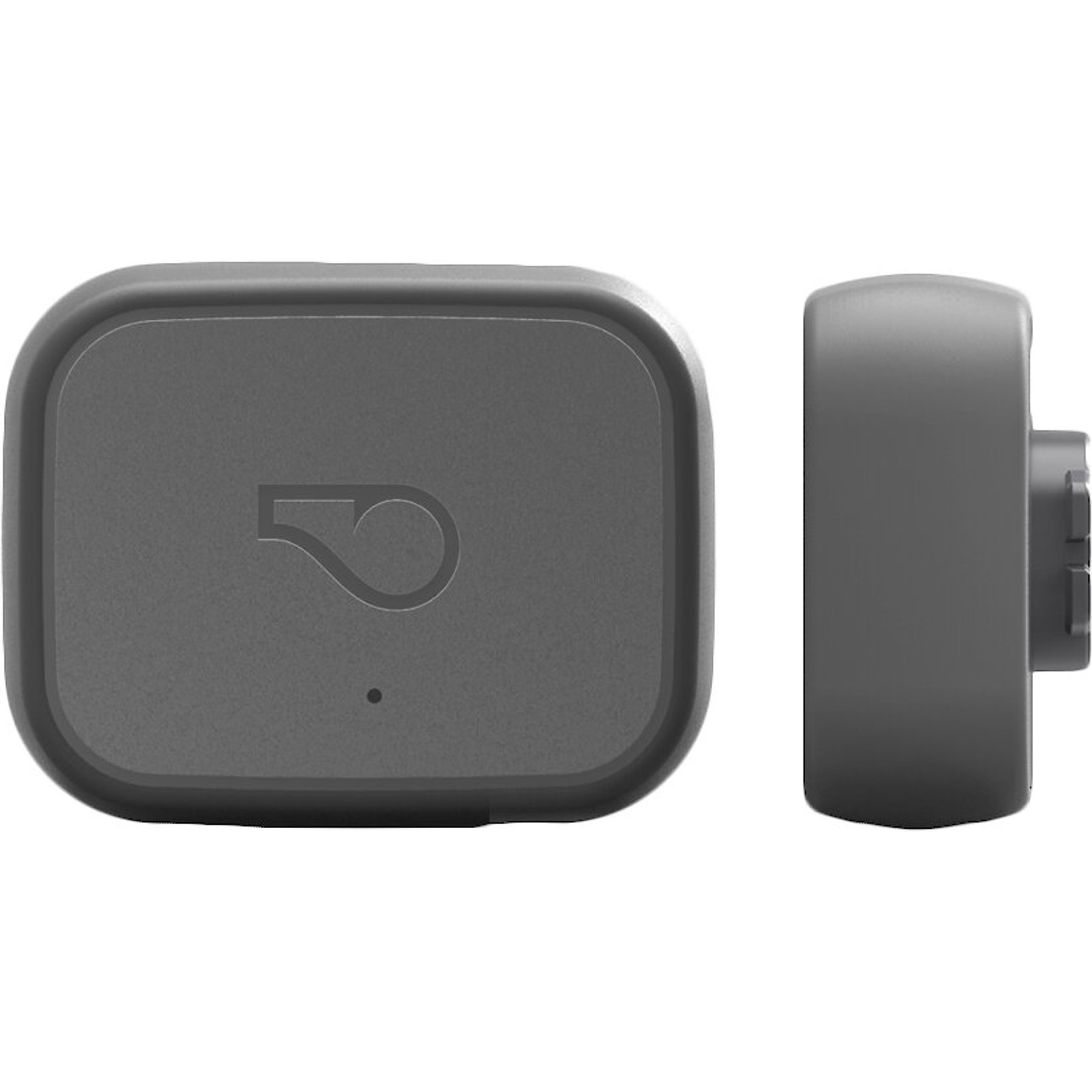 Chewy gps outlet tracker