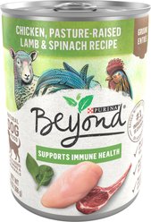 Purina Beyond Grain-Free Chicken, Lamb & Spinach Recipe Ground Entree Canned Dog Food, 13-oz, case of 12