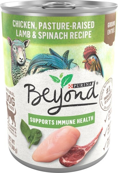 Purina Beyond Grain-Free Chicken, Lamb & Spinach Recipe Ground Entree Canned Dog Food, 13-oz, case of 12 slide 1 of 11