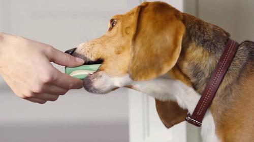 Show full view: OraVet Dental Care Hygiene Chews for Dogs, 10-24 lbs, 30 count slide 4 of 5