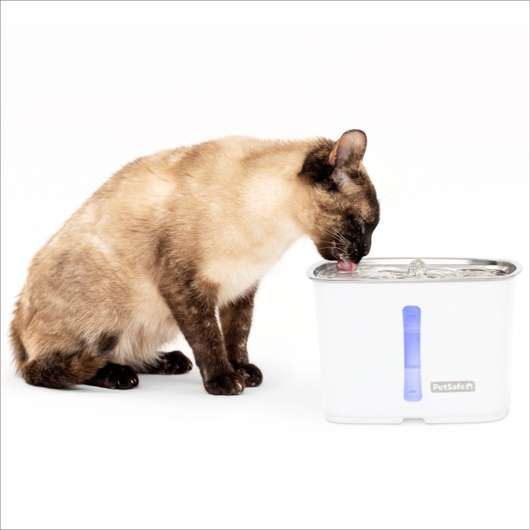 PetSafe Viva Stainless Steel Cat & Dog Fountain, Steel, 64-oz