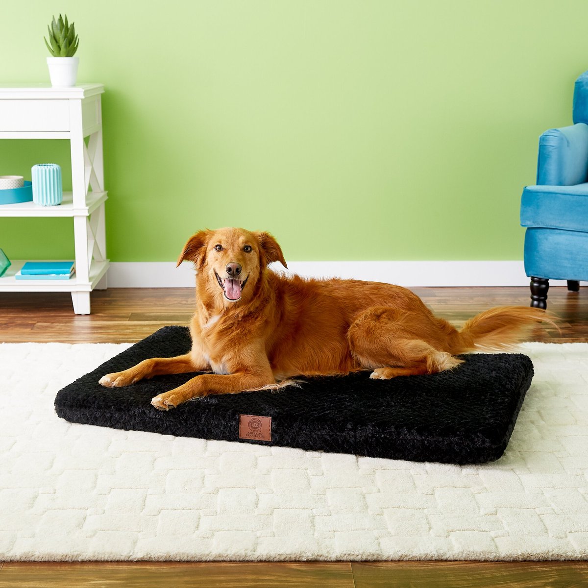 AMERICAN KENNEL CLUB AKC Orthopedic Dog Crate Mat, Black, 42in
