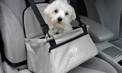 American Kennel Club AKC Pet Booster Seat, Gray