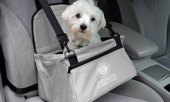 American Kennel Club AKC Pet Booster Seat, Gray slide 2 of 4