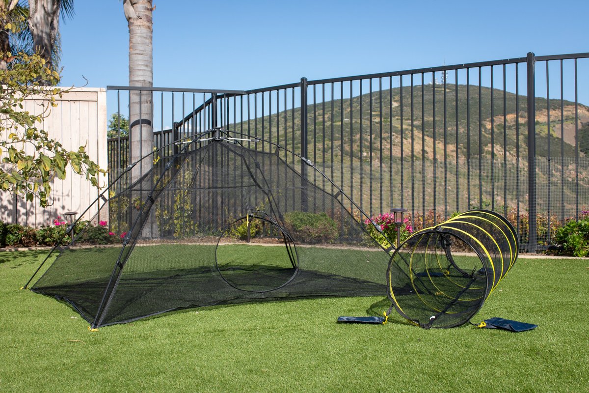 Cat tent and outlet tunnel