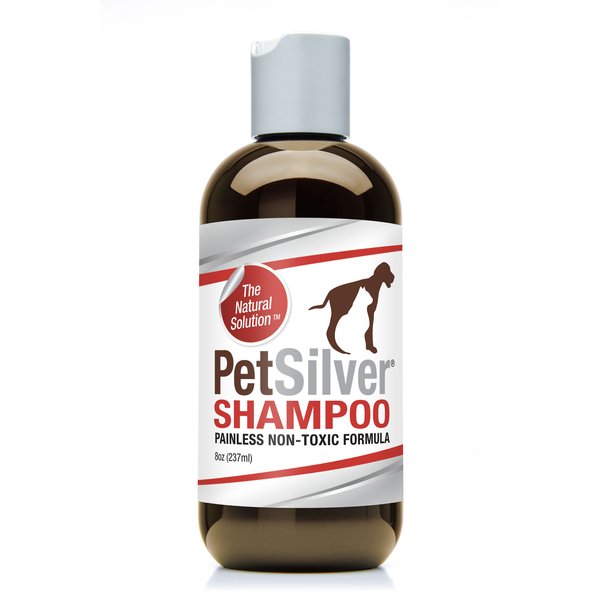 PETSILVER Antimicrobial Dog & Cat Shampoo, 8-oz bottle - Chewy.com