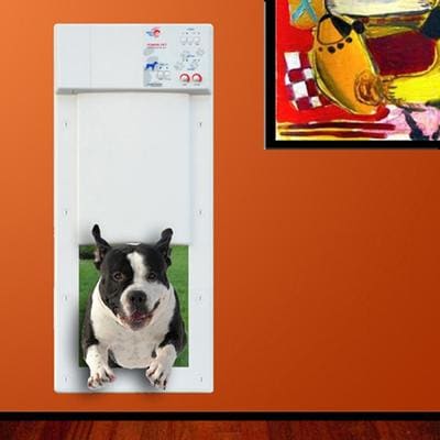 Discontinued - High Tech Pet Fully Automatic Power Pet Door for Wall ...