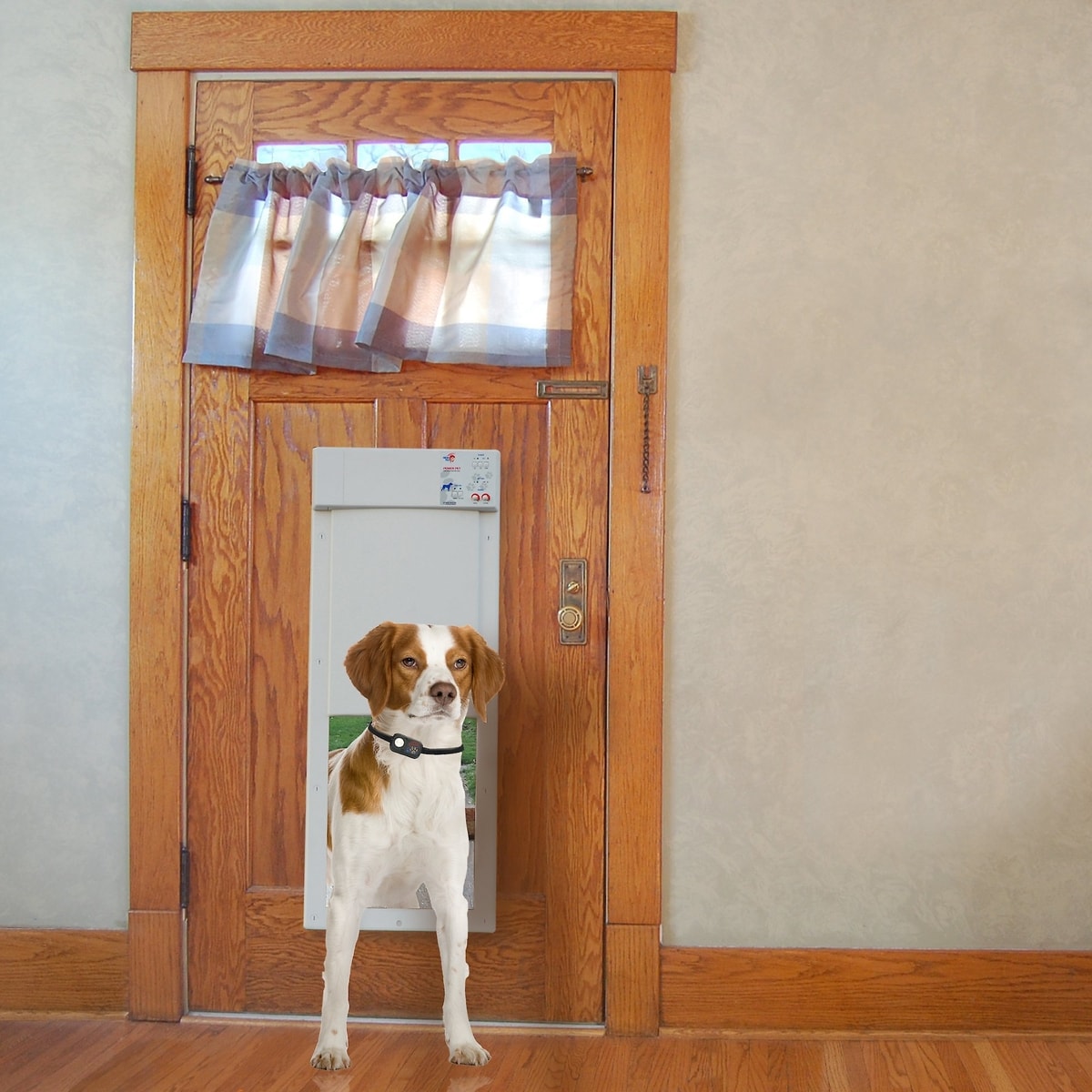 Discontinued - High Tech Pet Fully Automatic Power Pet Door for Wall ...