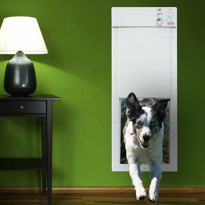 Discontinued - High Tech Pet Fully Automatic Power Pet Door for Wall ...