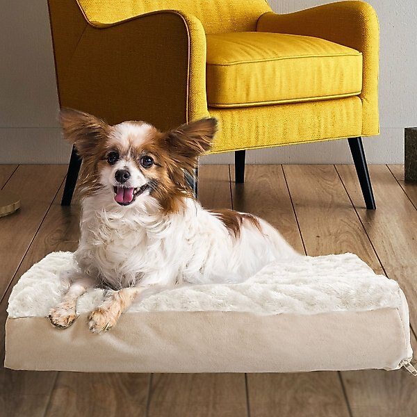 FurHaven NAP Ultra Plush Orthopedic Deluxe Cat & Dog Bed w/Removable Cover, Cream, Small slide 1 of 11