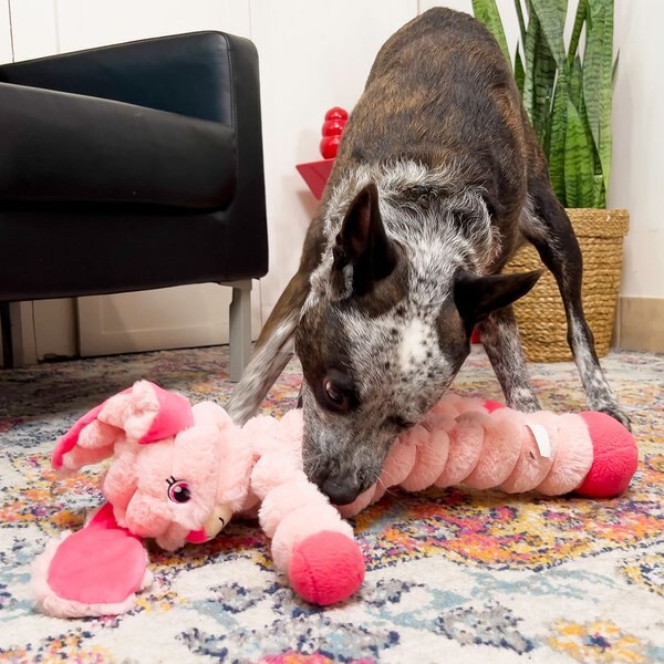 Beco Pets Flamingo Tough Squeaky Dog Plush Tug Toy, Pink, Medium