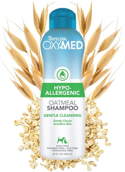 TropiClean OxyMed Hypo-Allergenic Oatmeal Dog & Cat Shampoo, 20-oz bottle slide 1 of 8