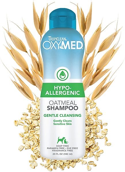 TropiClean OxyMed Hypo-Allergenic Oatmeal Dog & Cat Shampoo, 20-oz bottle slide 1 of 9