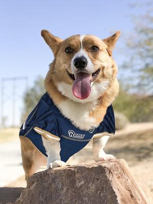 Show full view: Pets First NFL Dog & Cat Mesh Jersey, Los Angeles Rams, Small slide 6 of 12