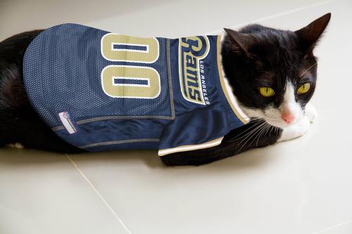 Show full view: Pets First NFL Dog & Cat Mesh Jersey, Los Angeles Rams, Small slide 8 of 12