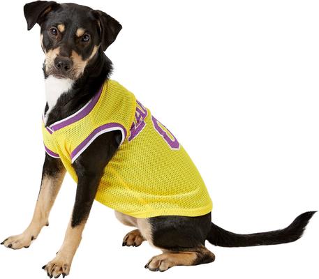 Show full view: Pets First NBA Dog & Cat Mesh Jersey, Los Angeles Lakers, Large slide 4 of 9