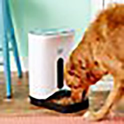 Arf Pets Automatic Dog & Cat Feeder, White, 18-cup slide 2 of 8