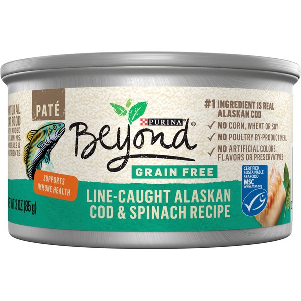 PURINA BEYOND Grain Free Wild Salmon Pate Recipe Canned