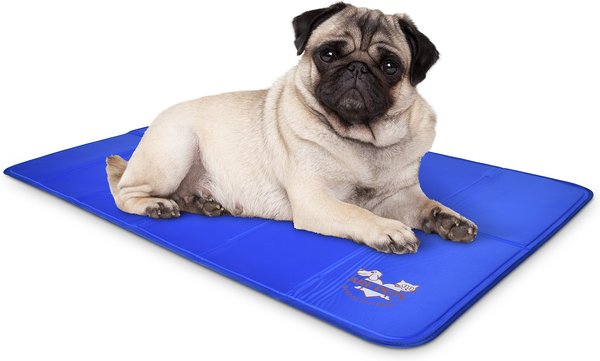 Arf Pets Self-Cooling Solid Gel Dog Crate Mat, 23 x 35 in slide 1 of 8