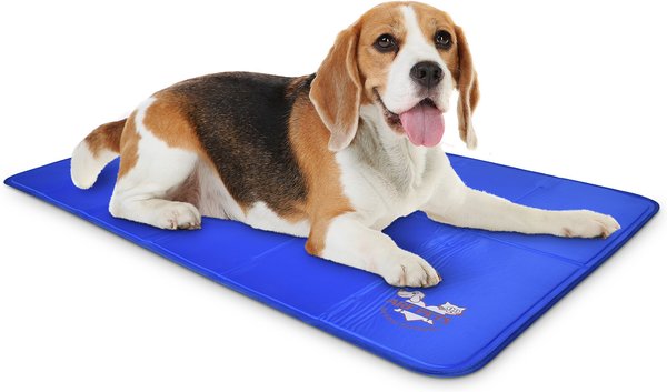 Arf Pets Self-Cooling Solid Gel Dog Crate Mat, 27 x 43 in slide 1 of 8