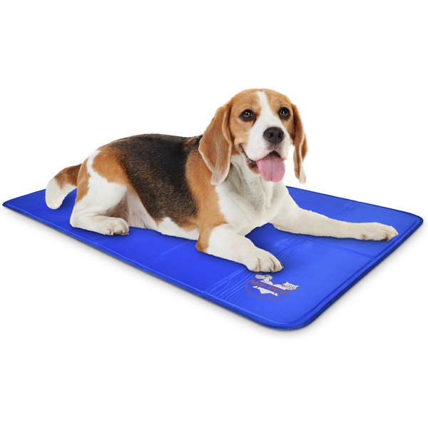 Dog bed with cooling sales pad