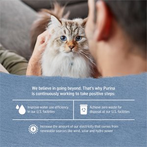Purina Beyond Grain-Free Trout & Catfish Pate Recipe Canned Cat Food, 3-oz, case of 12