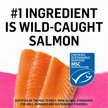 Purina Muse Natural Salmon Recipe Grain-Free Pate Canned Cat Food, 3-oz, case of 24
