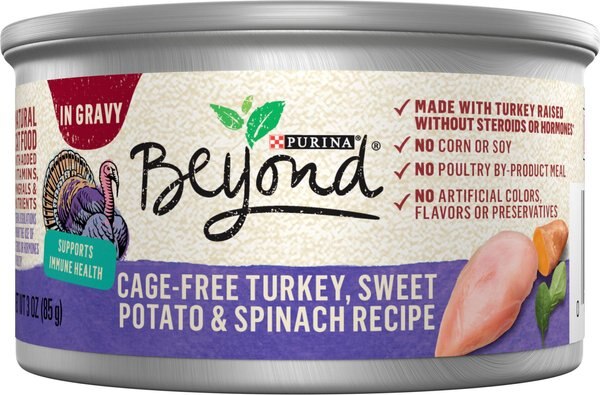 Purina Beyond Cage-Free Turkey, Sweet Potato & Spinach Recipe in Gravy Canned Cat Food, 3-oz, case of 12 slide 1 of 12