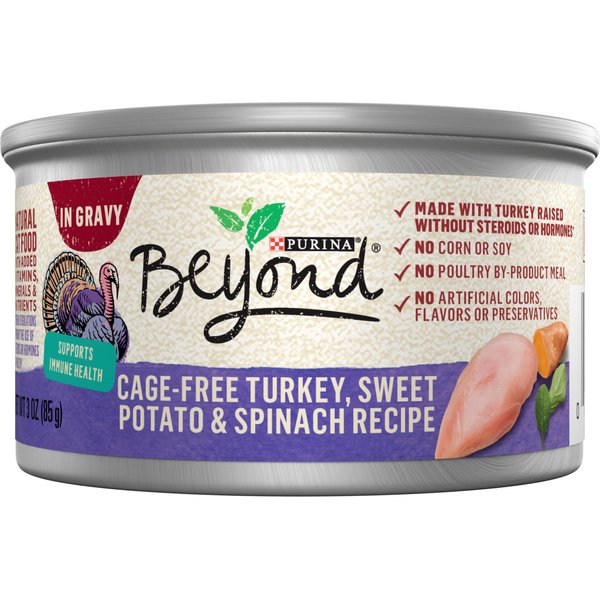 PURINA BEYOND Cage Free Turkey Sweet Potato Spinach