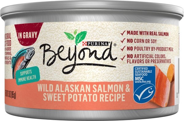 Purina Beyond Wild Alaskan Salmon & Sweet Potato Recipe in Gravy Canned Cat Food, 3-oz, case of 12 slide 1 of 11