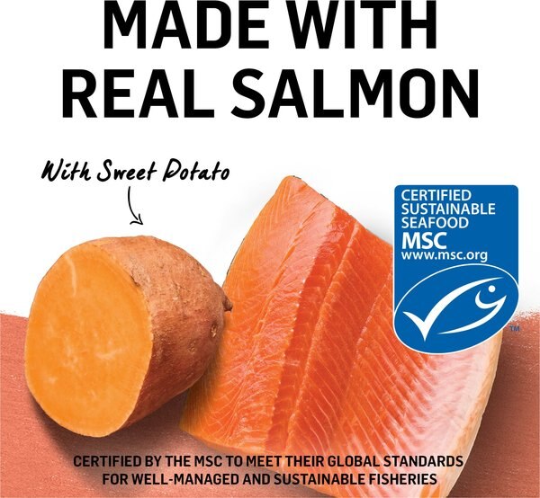 Purina Muse Natural Salmon Recipe Accented with Tomato & Spinach in Gravy Canned Cat Food, 3-oz, case of 24