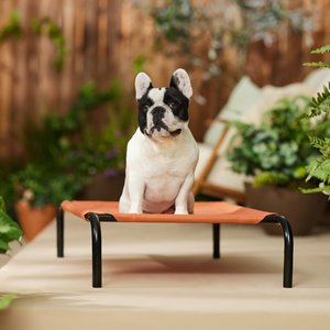 Frisco Steel-Framed Elevated Dog Bed, Terracotta, Small