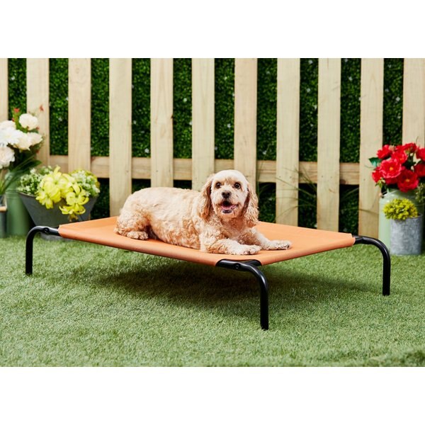 PET ADOBE Steel Frame Elevated Dog Bed, Medium