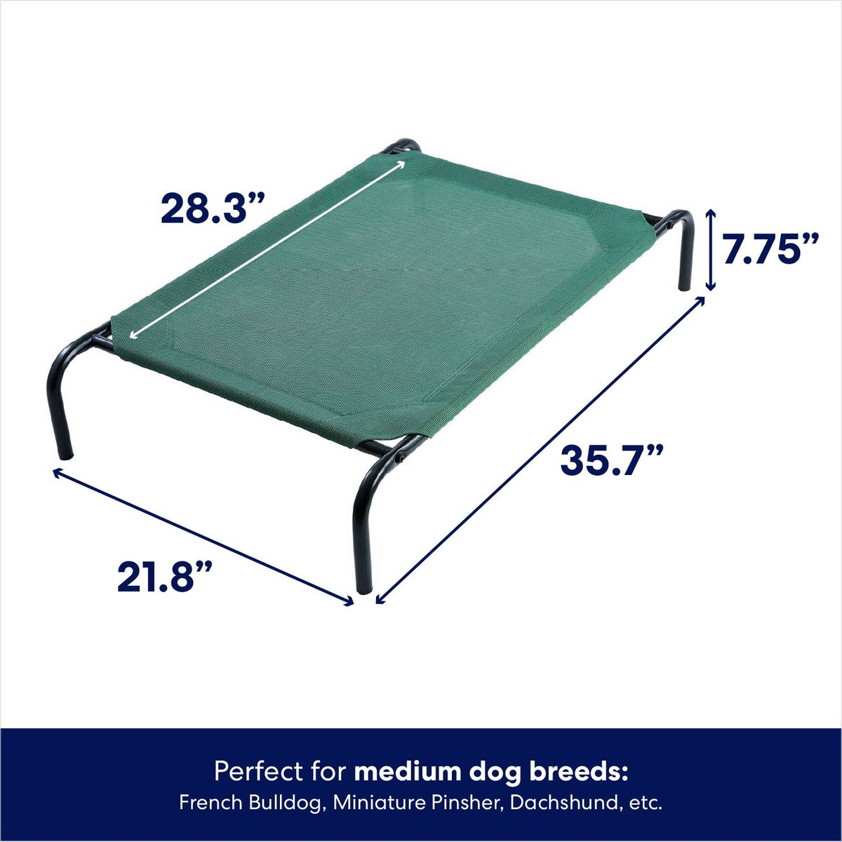 FRISCO SteelFramed Elevated Dog Bed, Green, Small