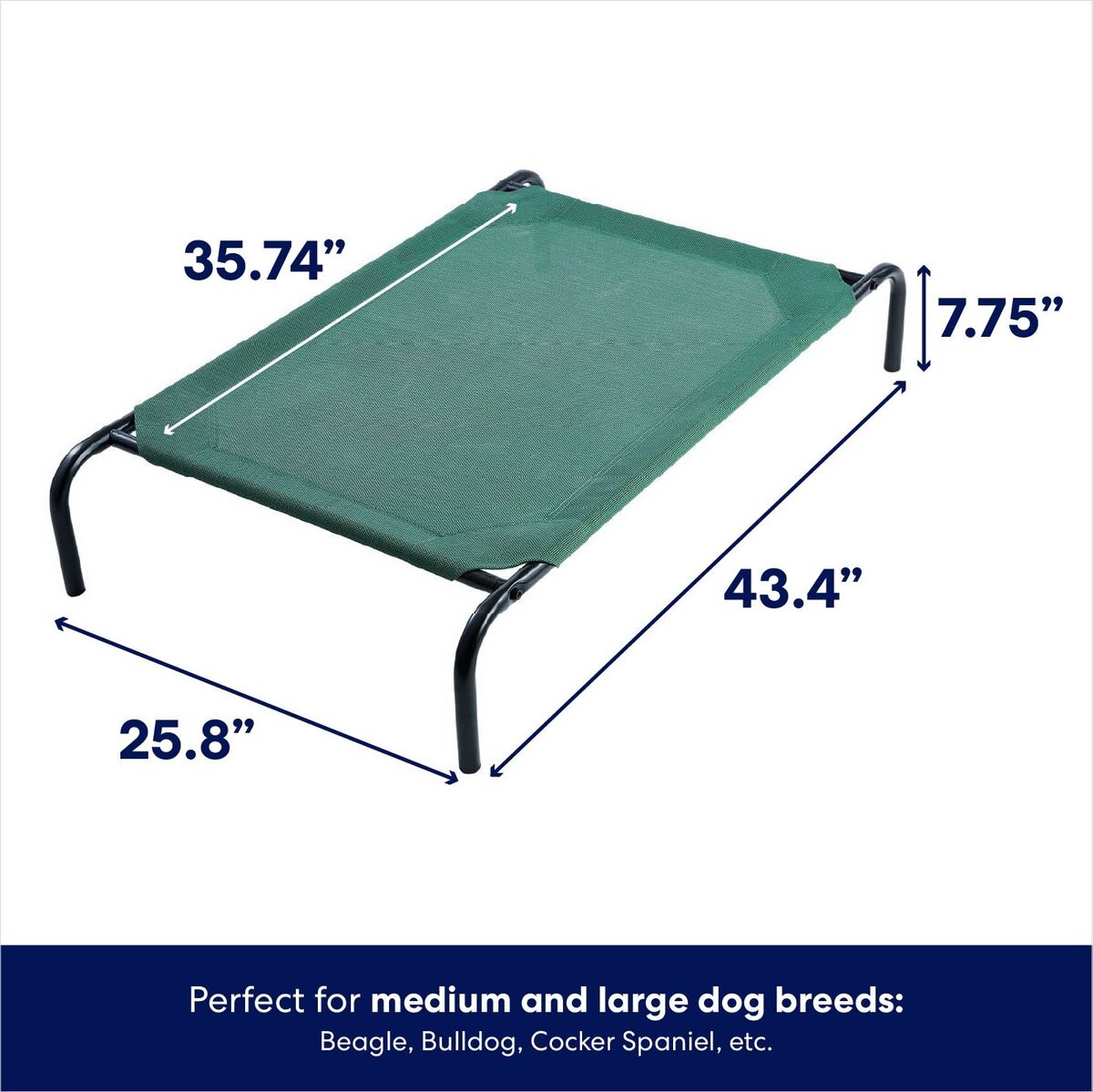 FRISCO SteelFramed Elevated Dog Bed, Green, Medium