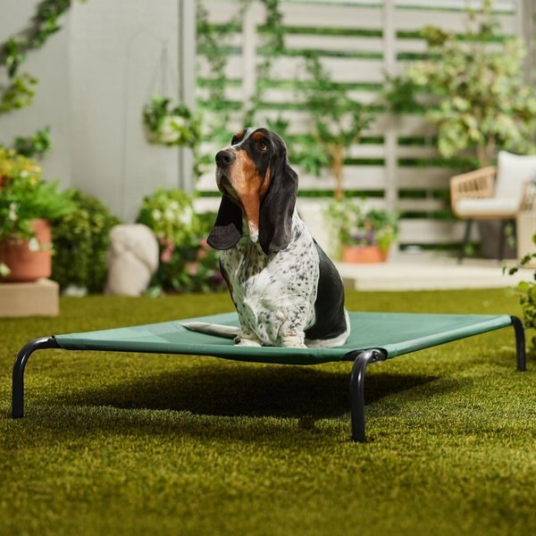 FRISCO SteelFramed Elevated Dog Bed, Green, Large