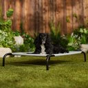 Frisco Steel-Framed Elevated Dog Bed, Gray, Medium