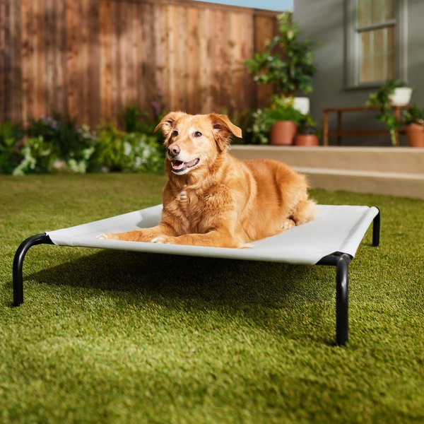 FRISCO SteelFramed Elevated Dog Bed, Gray, Large