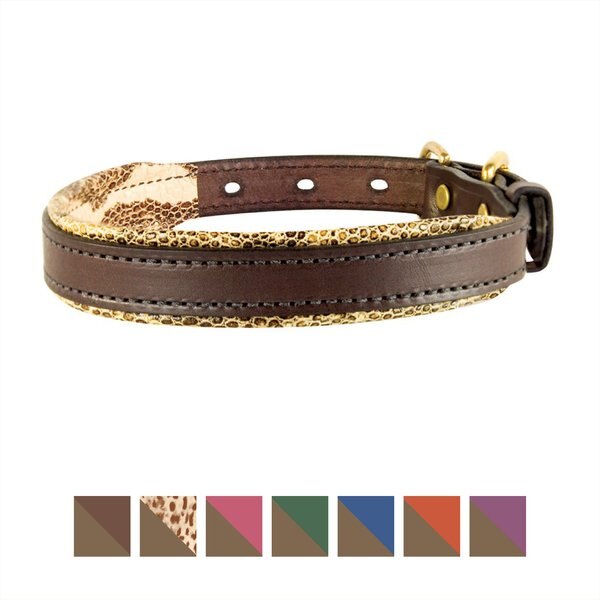 Perri's padded leather dog collar best sale